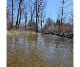 Michigan Properties For Sale