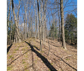 Michigan Properties For Sale