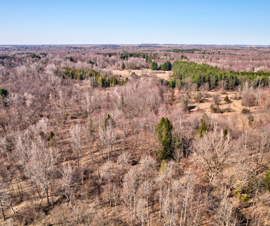 Michigan Properties For Sale