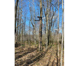 Michigan Properties For Sale