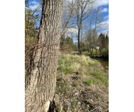 Michigan Properties For Sale