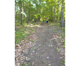 Michigan Properties For Sale