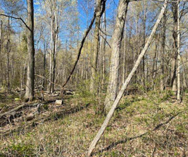 Michigan Properties For Sale