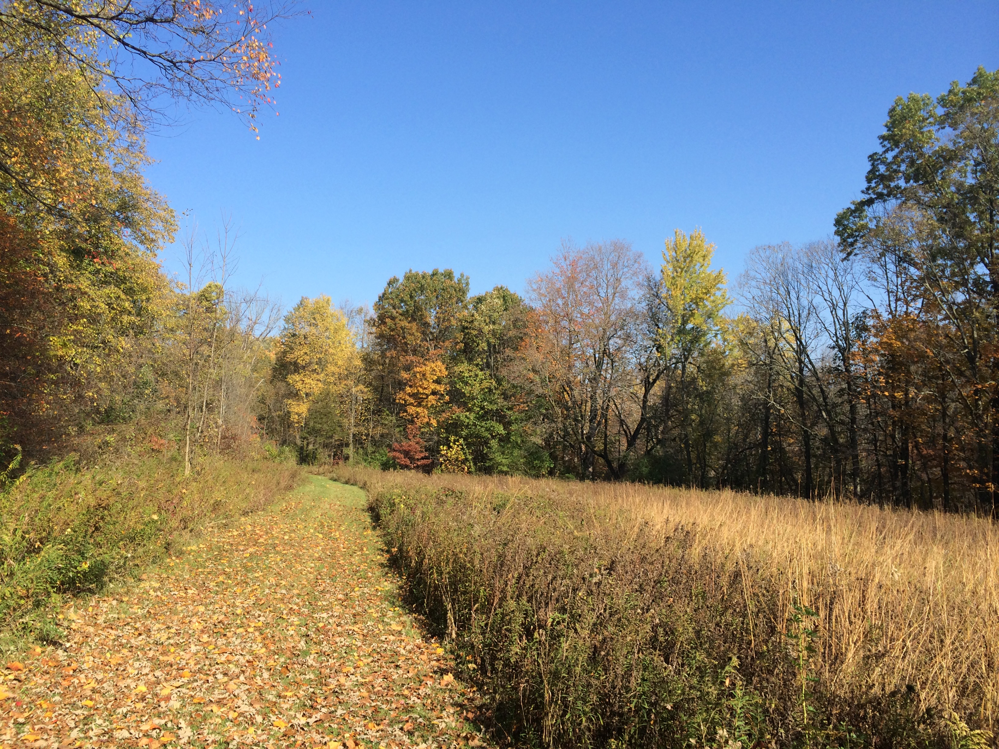 Recreational Property