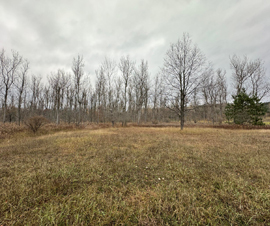 Michigan Properties For Sale