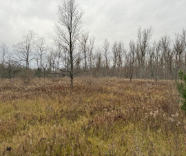 Michigan Properties For Sale