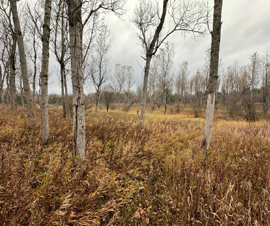 Michigan Properties For Sale