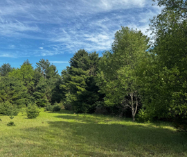 Michigan Properties For Sale