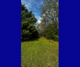 Michigan Properties For Sale