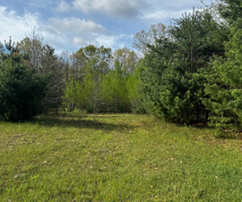 Michigan Properties For Sale
