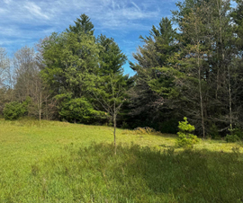 Michigan Properties For Sale