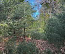 Michigan Properties For Sale