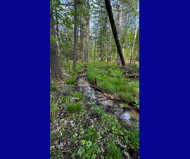 Michigan Properties For Sale