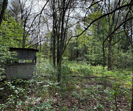 Michigan Properties For Sale