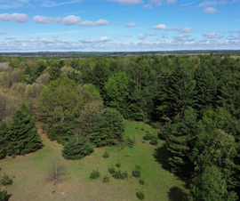 Michigan Properties For Sale
