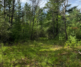 Michigan Properties For Sale