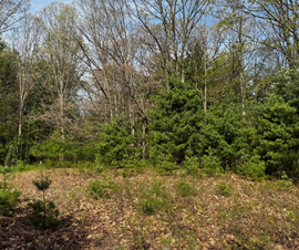 Michigan Properties For Sale