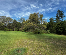 Michigan Properties For Sale