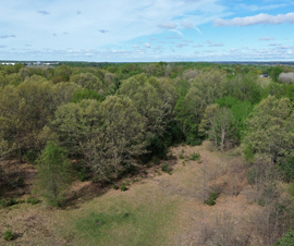 Michigan Properties For Sale