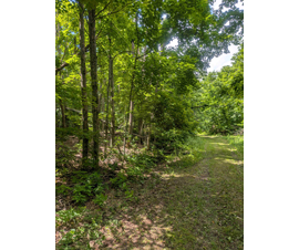 Michigan Properties For Sale