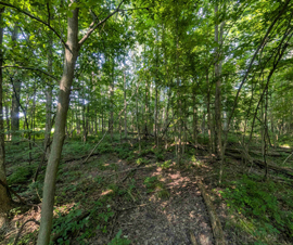 Michigan Properties For Sale