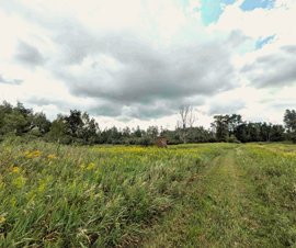 Michigan Properties For Sale
