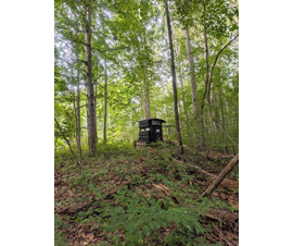 Michigan Properties For Sale