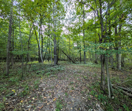 Michigan Properties For Sale