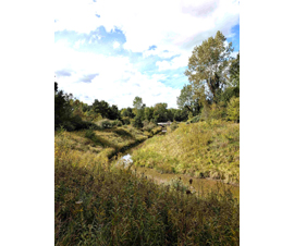 Michigan Properties For Sale