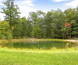 Michigan Properties For Sale
