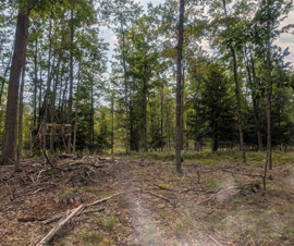Michigan Properties For Sale