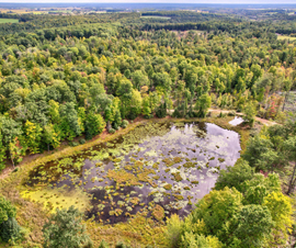 Michigan Properties For Sale