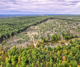 Michigan Properties For Sale
