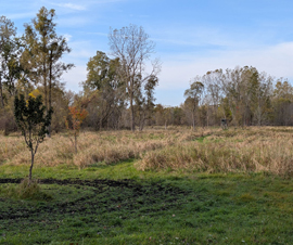 Shiawassee County 33