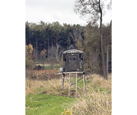 Michigan Properties For Sale