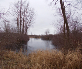 Michigan Properties For Sale