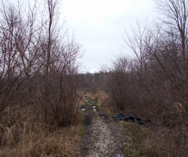 Michigan Properties For Sale