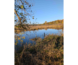 Michigan Properties For Sale