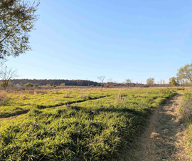 Michigan Properties For Sale